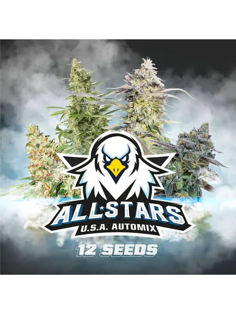 All Stars Usa Mix Auto -Bsf (X12/X4) 2