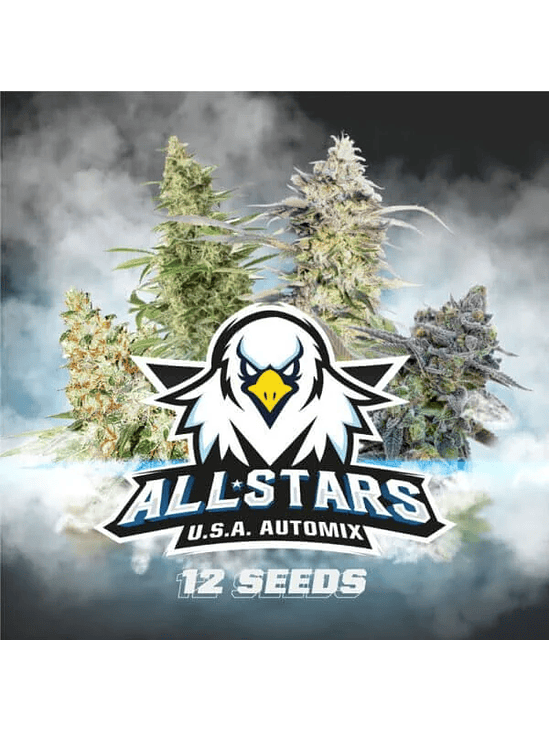 ALL STARS USA MIX  AUTO X12 -BSF 2