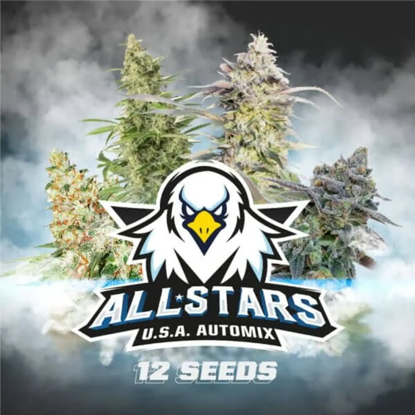 All Stars Usa Mix Auto -Bsf (X12/X4) 2