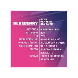 Blue Berry  Auto  X7 -Bsf