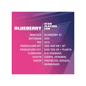 Blue Berry  Fem X4-Bsf