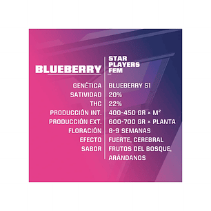 BLUE BERRY  FEM X4-BSF