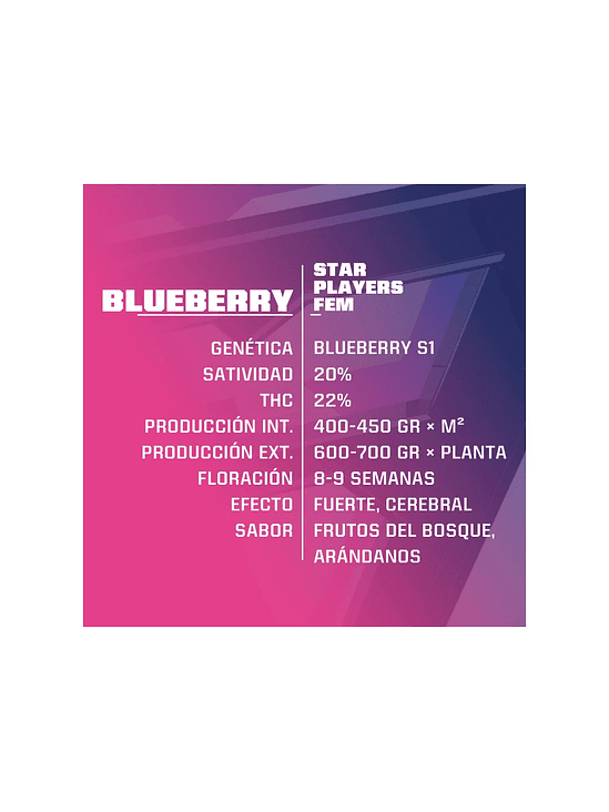 BLUE BERRY  FEM X4-BSF 2