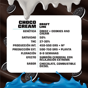Choco Cream Fem -Bsf (X7/X4/X2)