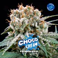 Choco Cream Fem -Bsf (X7/X4/X2) - Miniatura 1