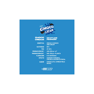 Choco Cream X4 - Bsf