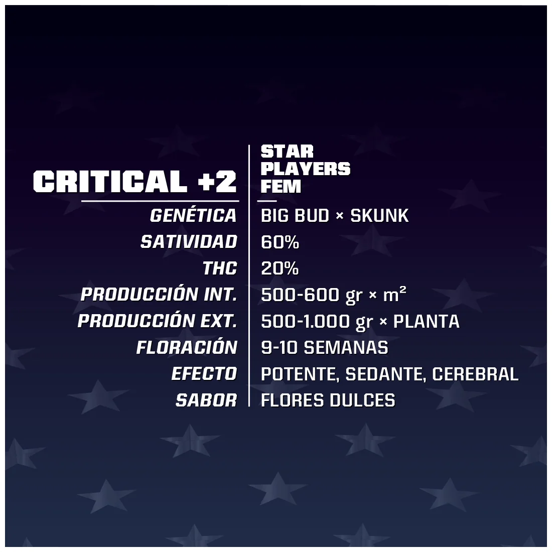 Critical +2 Fem -Bsf (X4/X2) 2