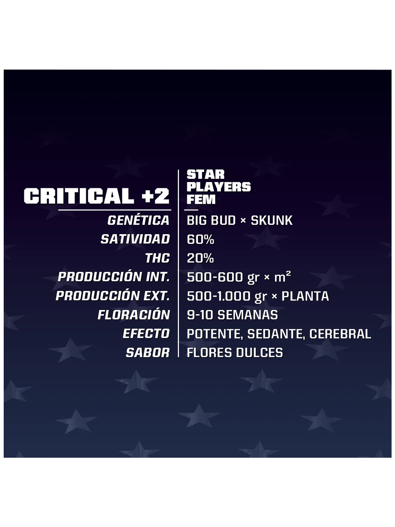 Critical +2 Fem -Bsf (X4/X2) 2