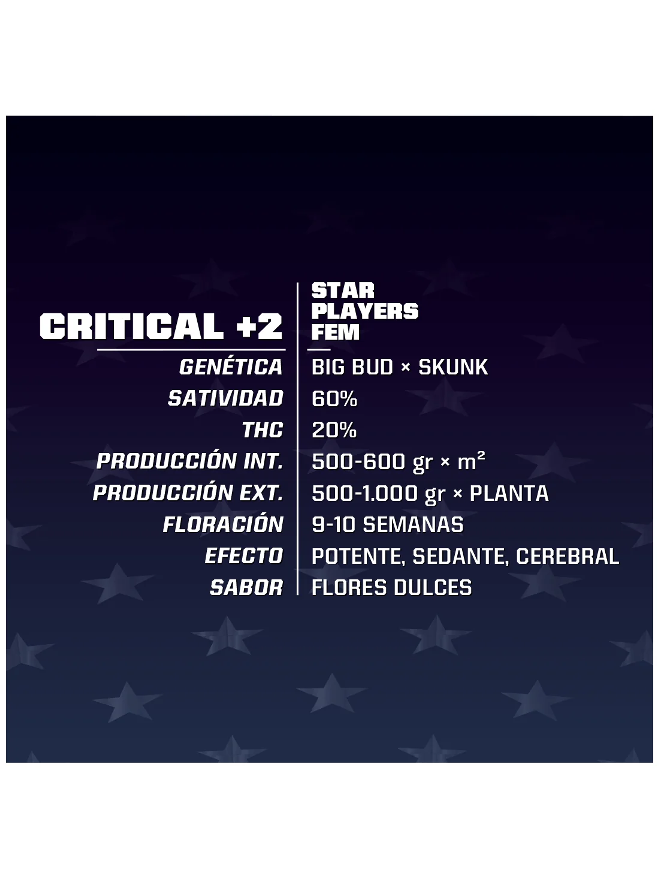 Critical +2 Fem -Bsf (X4/X2) 2