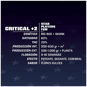 CRITICAL +2 FEM  X4 -BSF