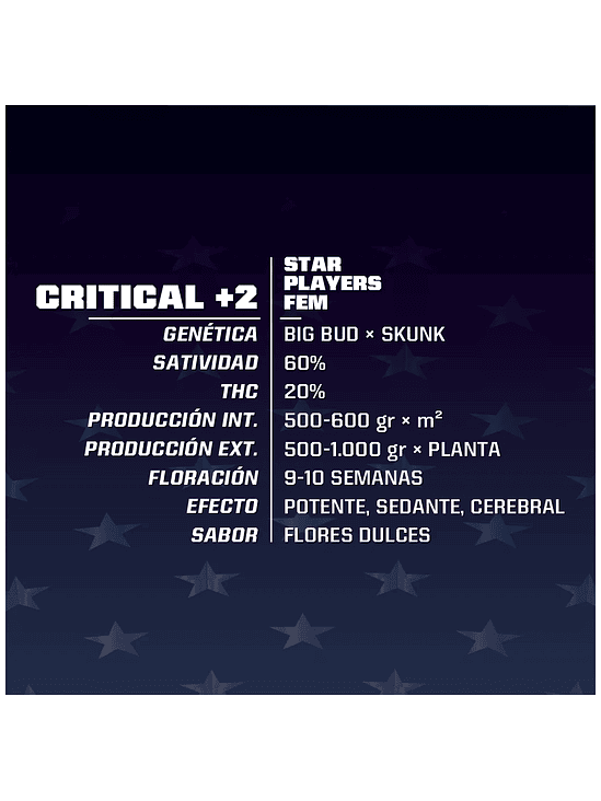 CRITICAL +2 FEM  X4 -BSF 2