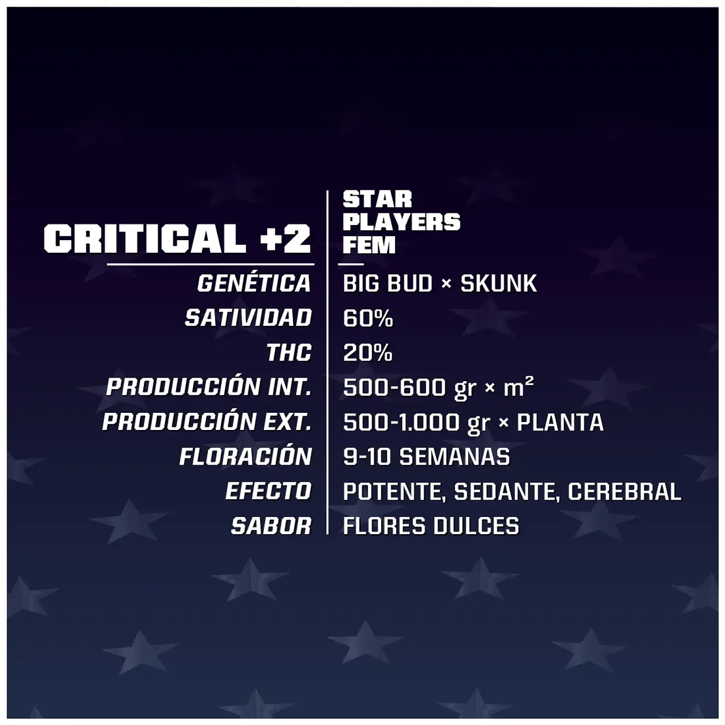 Critical +2 Fem -Bsf (X4/X2) 2