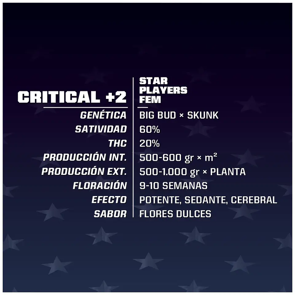 Critical +2 Fem -Bsf (X4/X2) 2