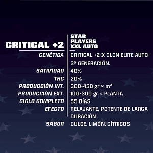 Critical +2 Xxl Auto X2-Bsf