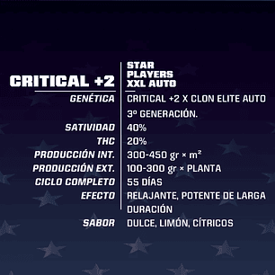 CRITICAL +2 XXL AUTO X2-BSF