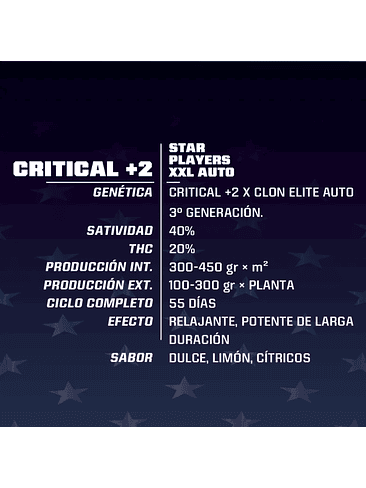 CRITICAL +2 XXL AUTO X2-BSF 2