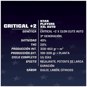 Critical +2 Xxl  Auto X4 -Bsf