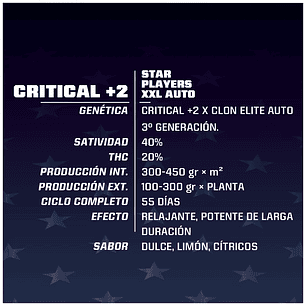 CRITICAL +2 XXL  AUTO X7-BSF