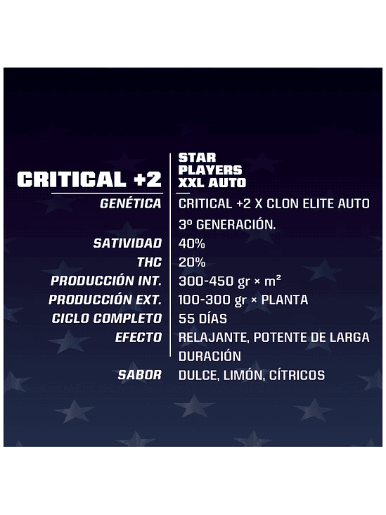 CRITICAL +2 XXL  AUTO X7-BSF 2