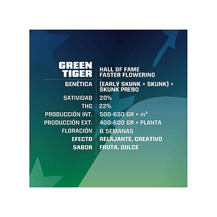 GREEN TIGER FAST FEM X4-BSF