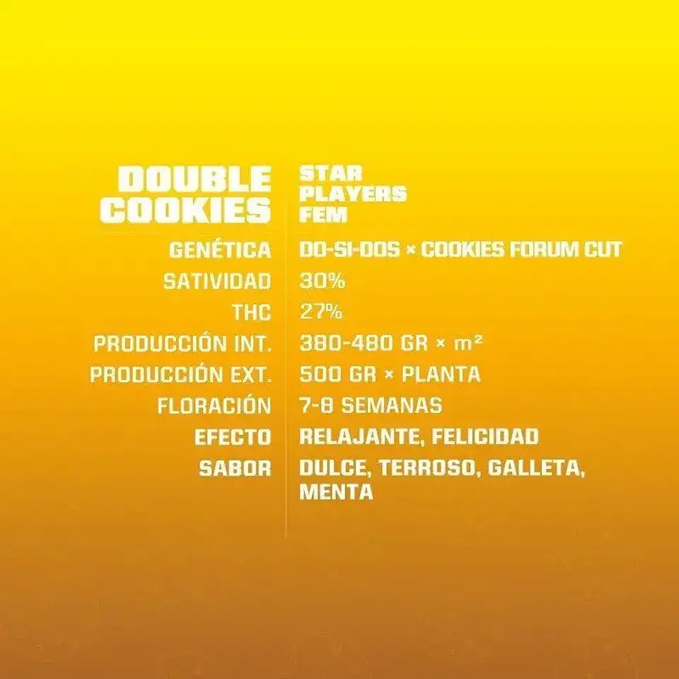 Double Cookies Fem -Bsf (X12/X7/X2/X4) 2