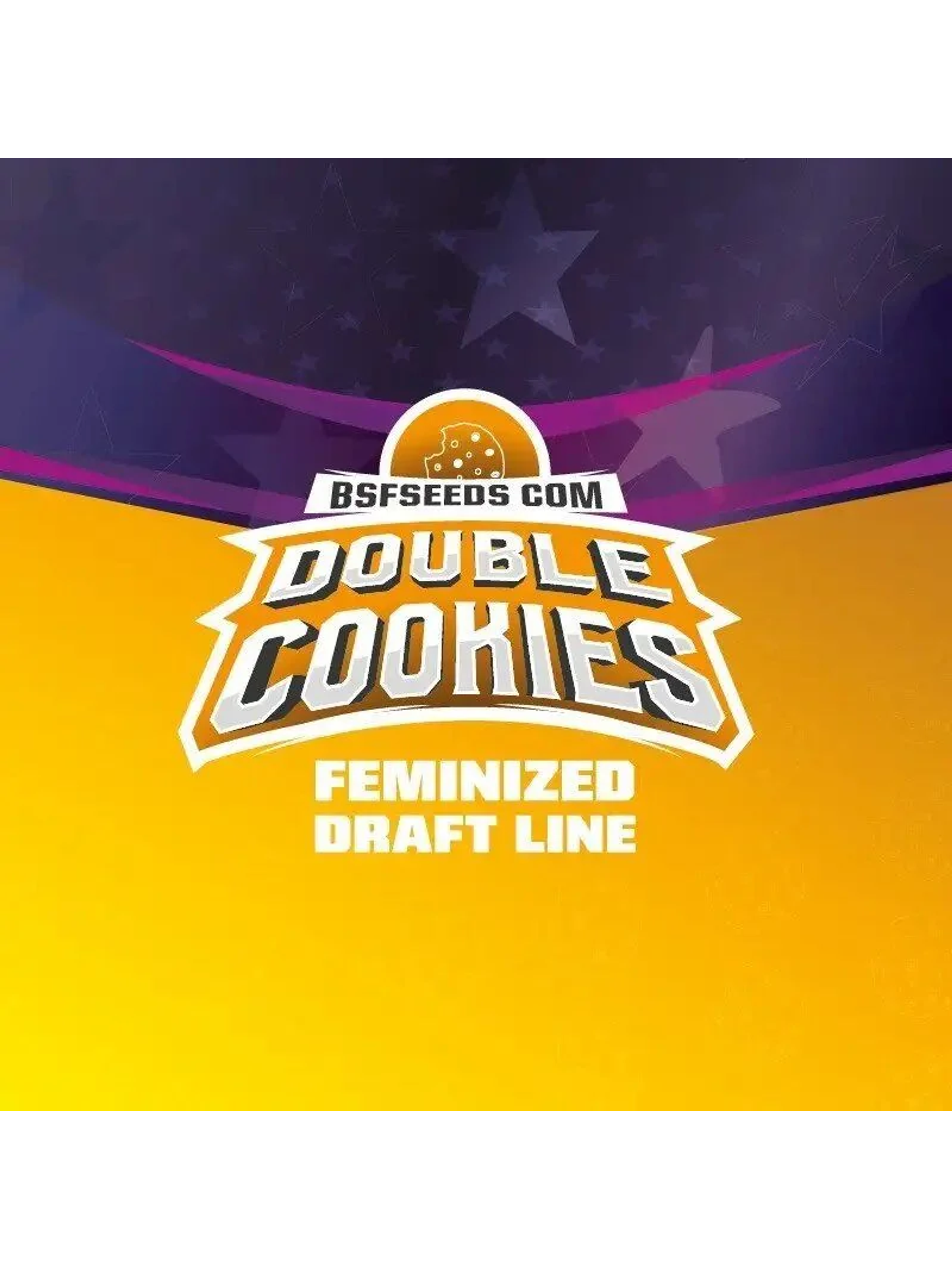 Double Cookies Fem X2-Bsf 3