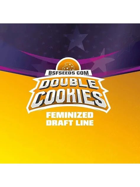 Double Cookies Fem -Bsf (X2/X4) 3