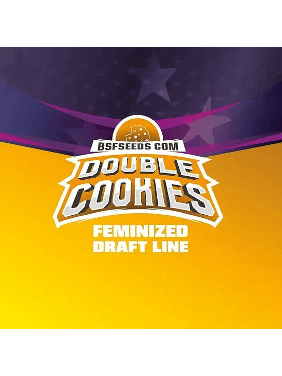 DOUBLE COOKIES FEM X2-BSF 3