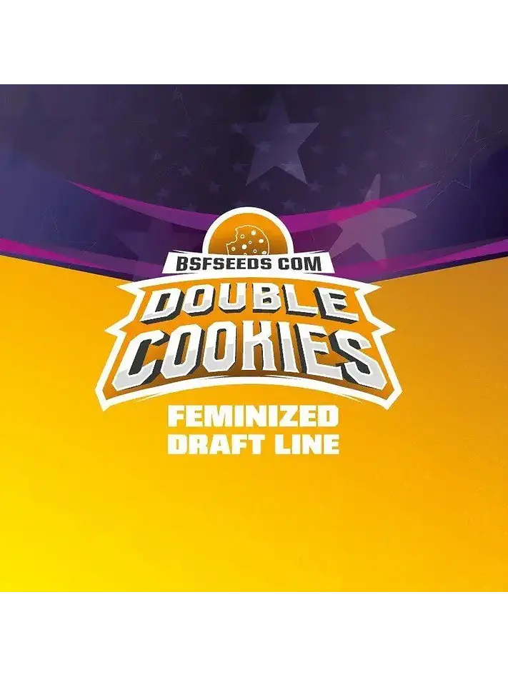 Double Cookies Fem -Bsf (X2/X4) 3