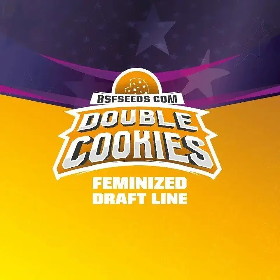 Double Cookies Fem -Bsf (X12/X7/X2/X4) 3