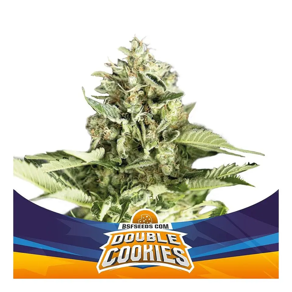 Double Cookies Sp Auto -Bsf (X12/X7/X4/X2) 1
