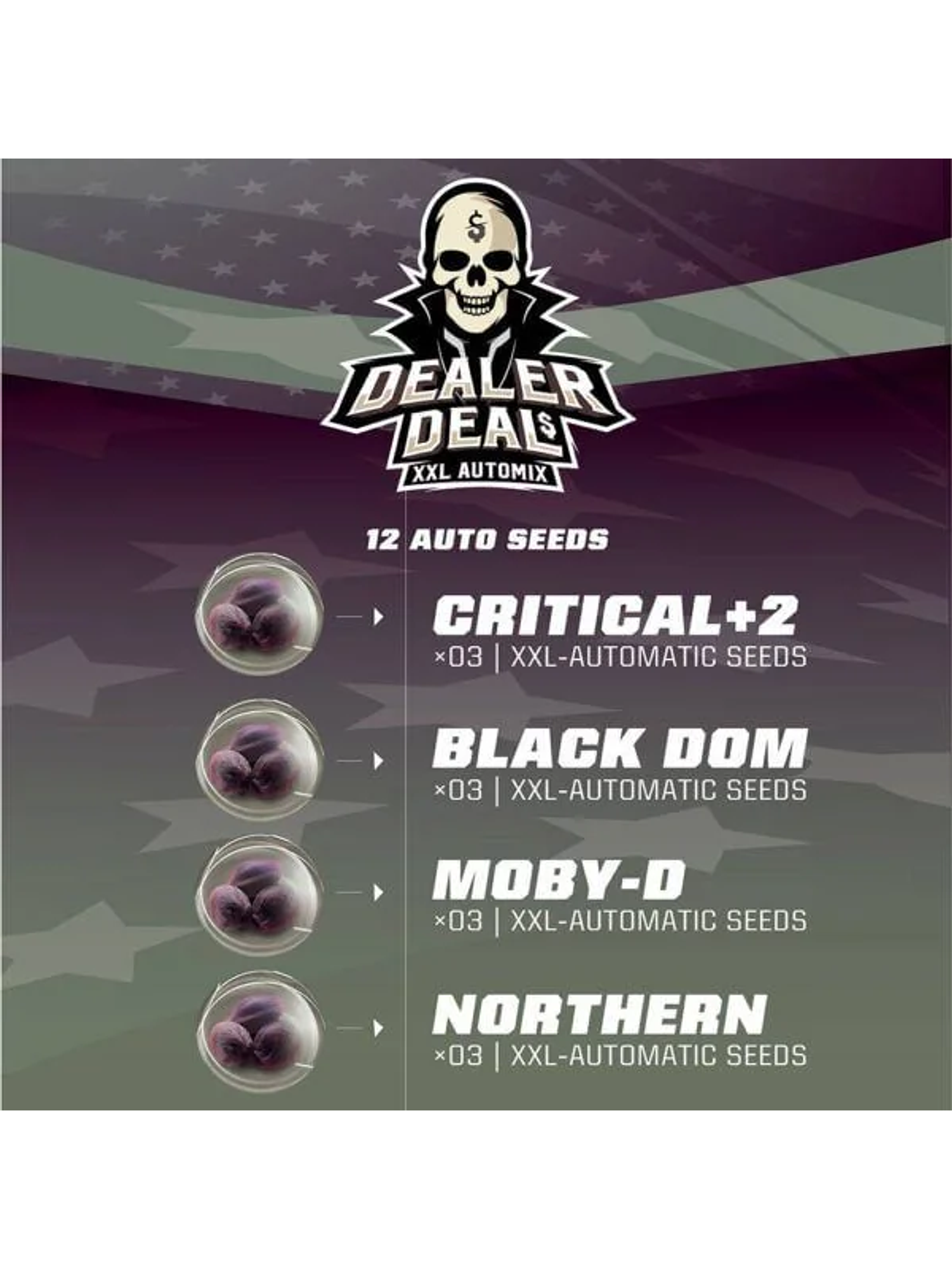 Dealer Deal Xxl  Auto X12 -Bsf 2