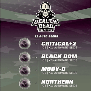 DEALER DEAL XXL  AUTO X12 -BSF