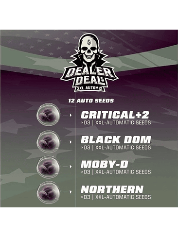 DEALER DEAL XXL  AUTO X12 -BSF 2