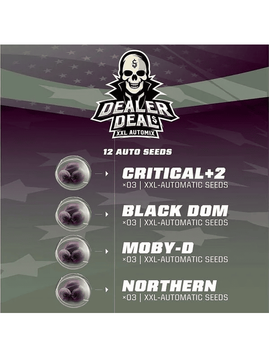 DEALER DEAL XXL  AUTO X12 -BSF 2