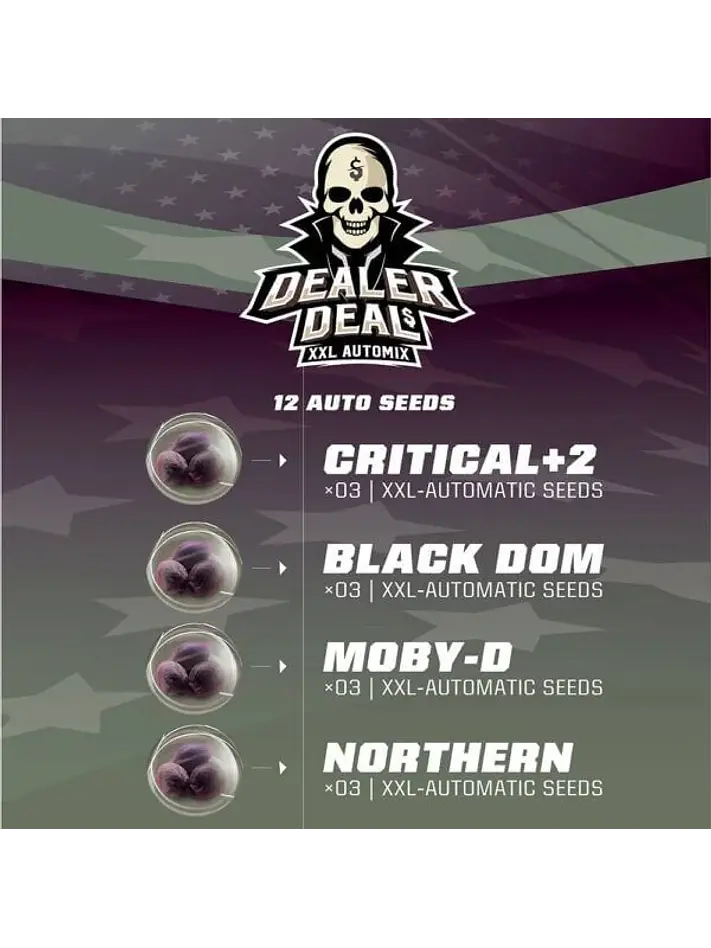 Dealer Deal Xxl  Auto X12 -Bsf 2