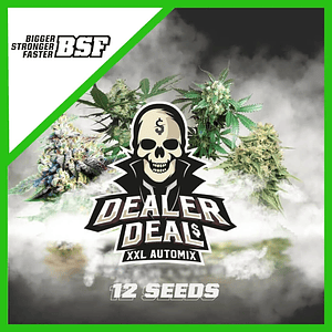 Dealer Deal Xxl  Auto X12 -Bsf