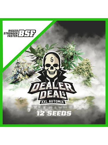 DEALER DEAL XXL  AUTO X12 -BSF 1