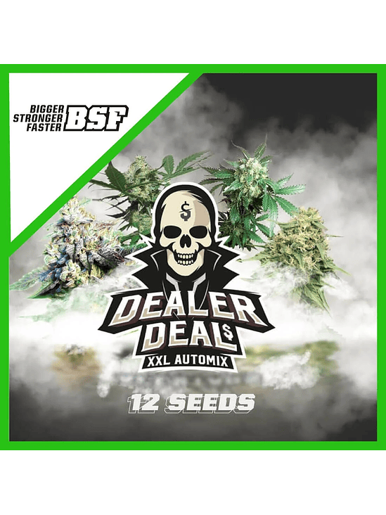 DEALER DEAL XXL  AUTO X12 -BSF 1