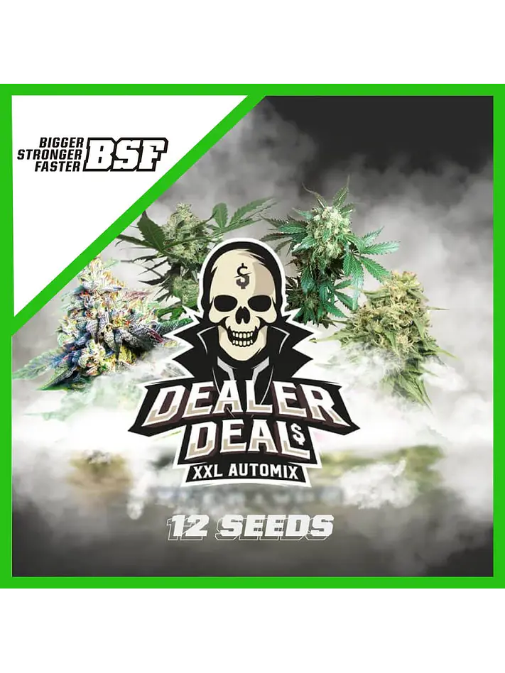 Dealer Deal Xxl  Auto X12 -Bsf 1