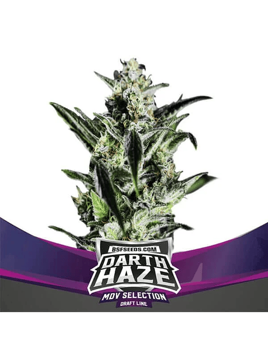 DARTH HAZE FEM X2-BSF 1