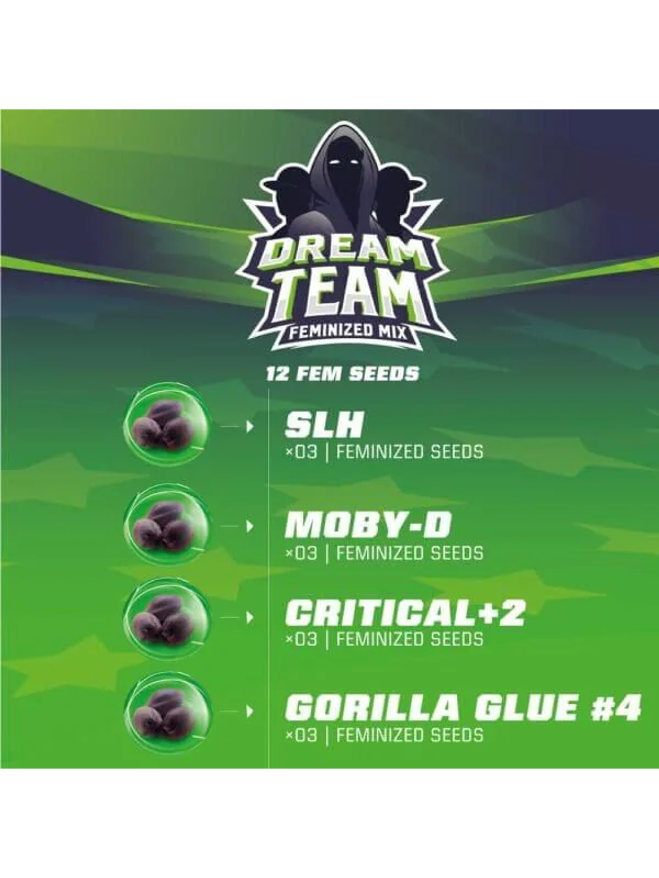 Dream Team Mix Fem X12-Bsf 2