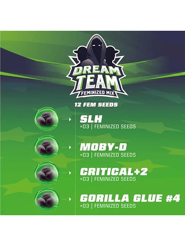 DREAM TEAM MIX FEM X12-BSF 2