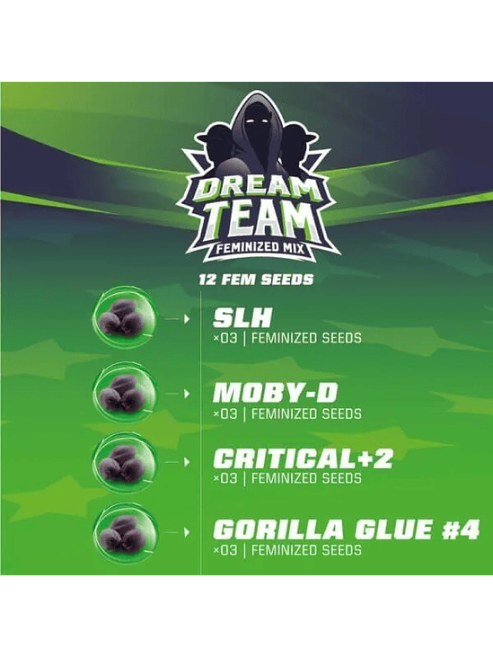 DREAM TEAM MIX FEM X12-BSF 2
