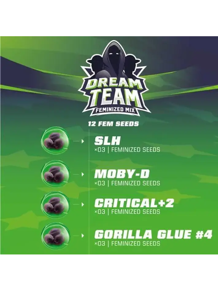 Dream Team Mix Fem X12-Bsf 2