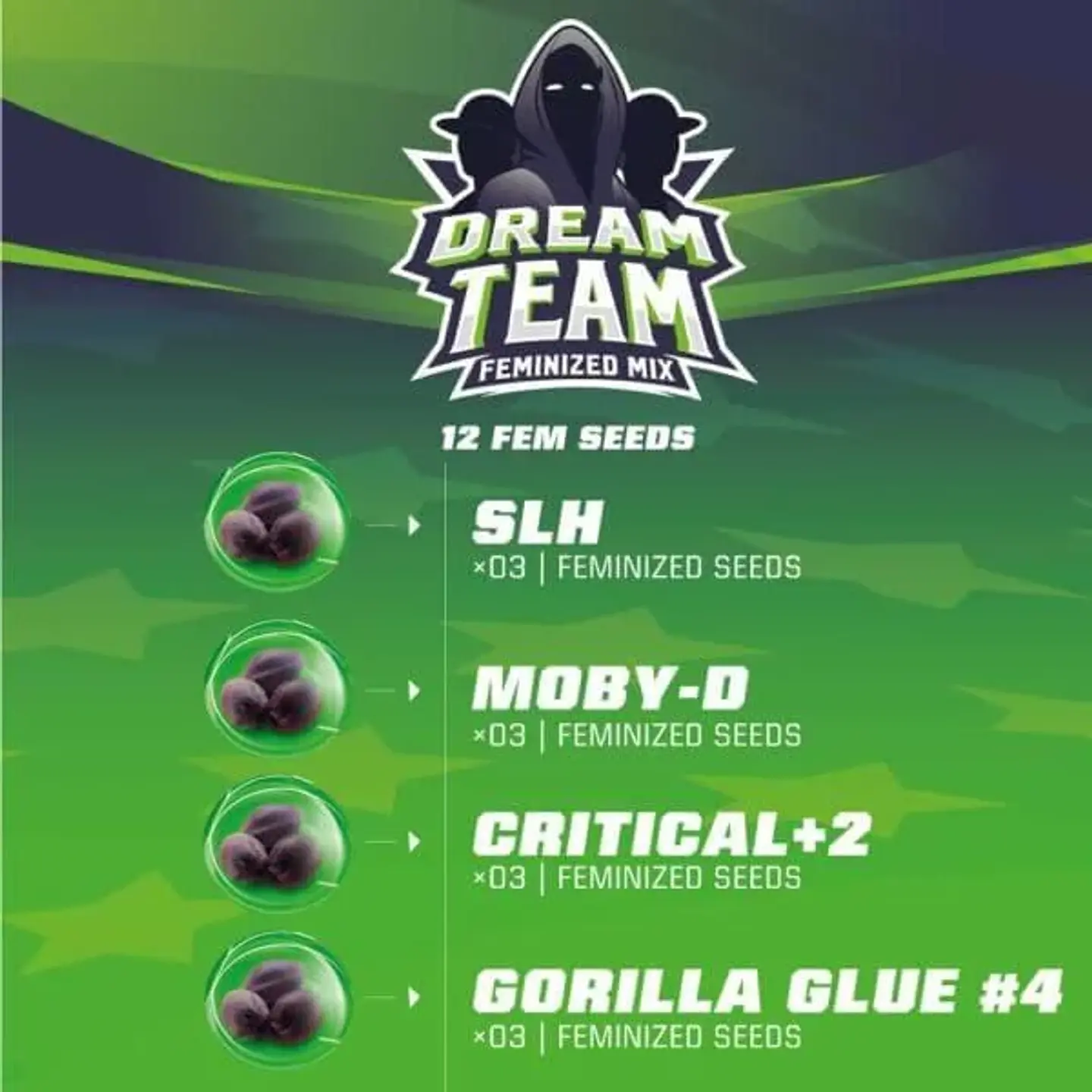 Dream Team Mix Fem X12-Bsf 2
