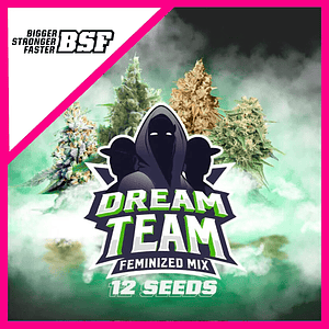 Dream Team Mix Fem X12-Bsf