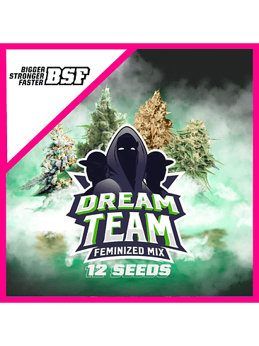 DREAM TEAM MIX FEM X12-BSF 1
