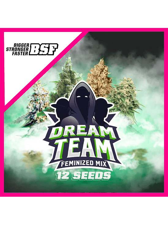 DREAM TEAM MIX FEM X12-BSF 1