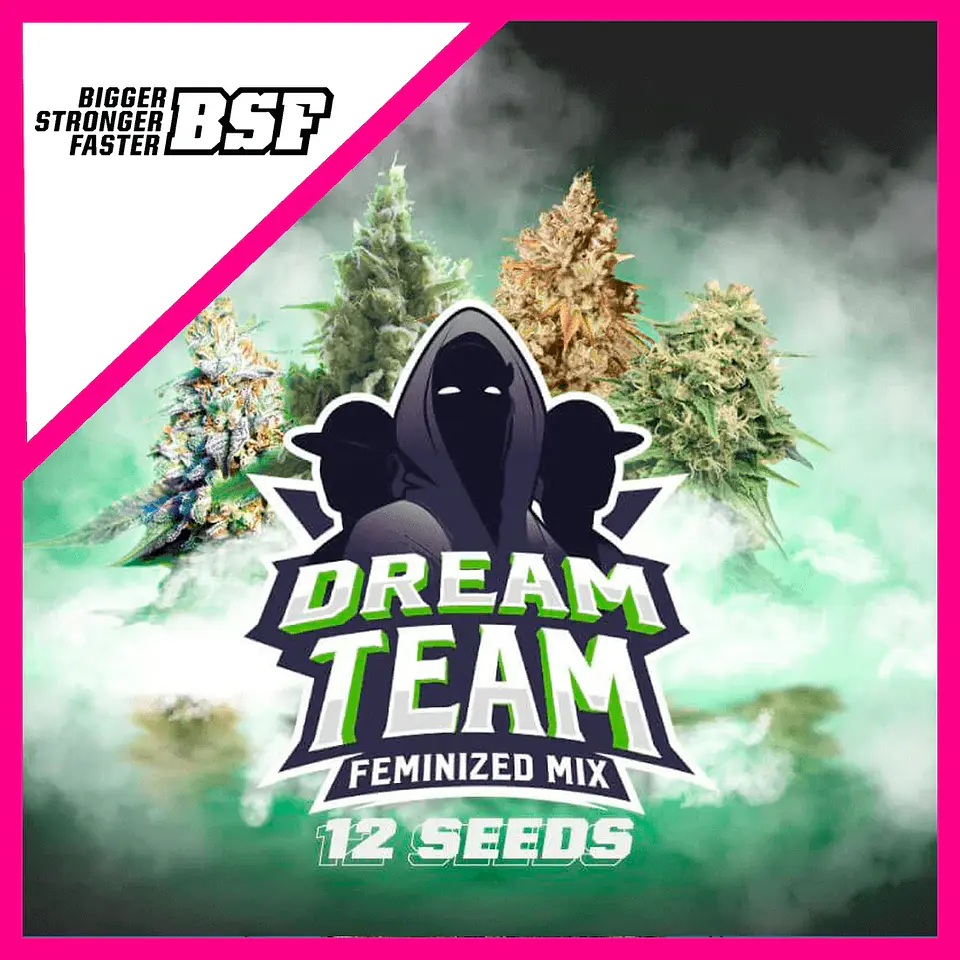Dream Team Mix Fem X12-Bsf 1